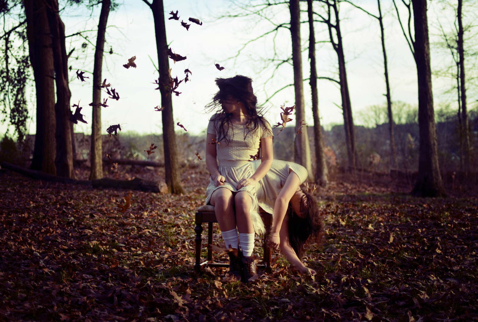 stromy, světlo, západ slunce, slunce, strom, milovat, Nohy, Příroda, listy, móda, les, Photoshop, temný, vlasy, list, les, vítr, surrealismus, bederní, nadreálný, styl, větrný, sny, vrstvy, noční můry