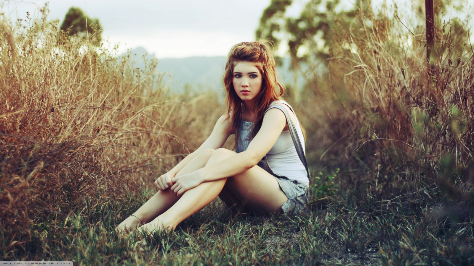 sollys, Skov, Kvinder udendørs, Kvinder, model, portræt, natur, græs, sidder, fotografering, kjole, mode, alene, emotion, forår, Person, hud, bedrift knæ, romantik, efterår, pige, skønhed, sæson, kvinde, dame, fotografi, 2560x1440 px, levested, humane positioner, portrætfotografering, Photo shoot, nøgenmodel