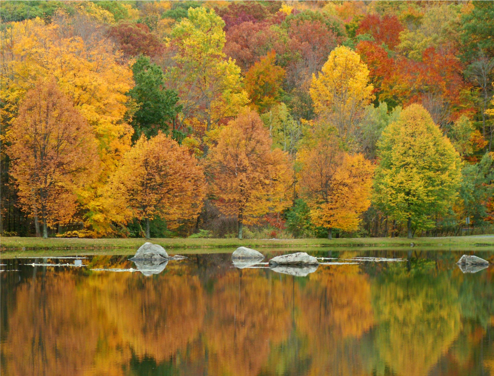 stromy, krajina, malování, les, podzim, jezero, voda, Příroda, odraz, tráva, nebe, větev, žlutý, večer, ráno, seasons, zrcadlo, řeka, oranžový, skály, rybník, banka, zrcadlové, mokřadní, strom, podzim, list, saariysqualitypictures, louka, nádrž, 100commentgroup, flickrstruereflection1, colorphotoaward, odlesky, supershot, zálesí, háj, počítač tapeta, ekosystém, biome, smíšený les, opadavý, národní park, theatrical scenery