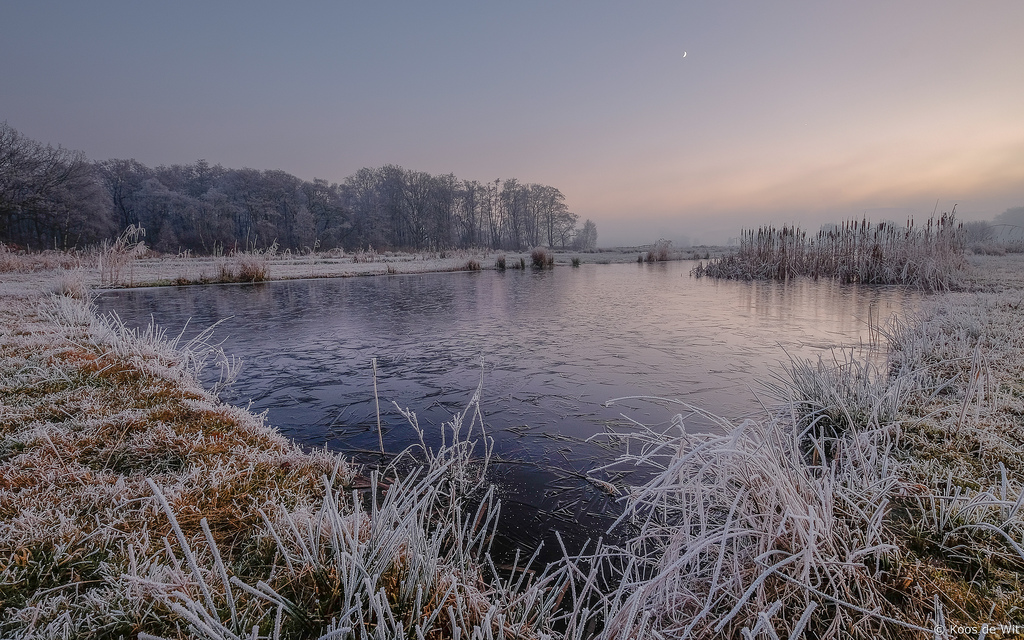 landskab, solnedgang, sø, vand, natur, afspejling, sne, vinter, solopgang, is, morgen, tåge, frost, flod, ødemark, Dam, Fujifilm, holland, vådområde, Groningen, træ, bjerg, vejr, daggry, sæson, Frosset, nl, farver, fuji, reservoir, thenetherlands, marsk, loch, levested, naturligt miljø, atmosfærisk fænomen, fujixe2, fujinonxf1024mm, Haren, koosdewit, koosdewitnl, 2016colors