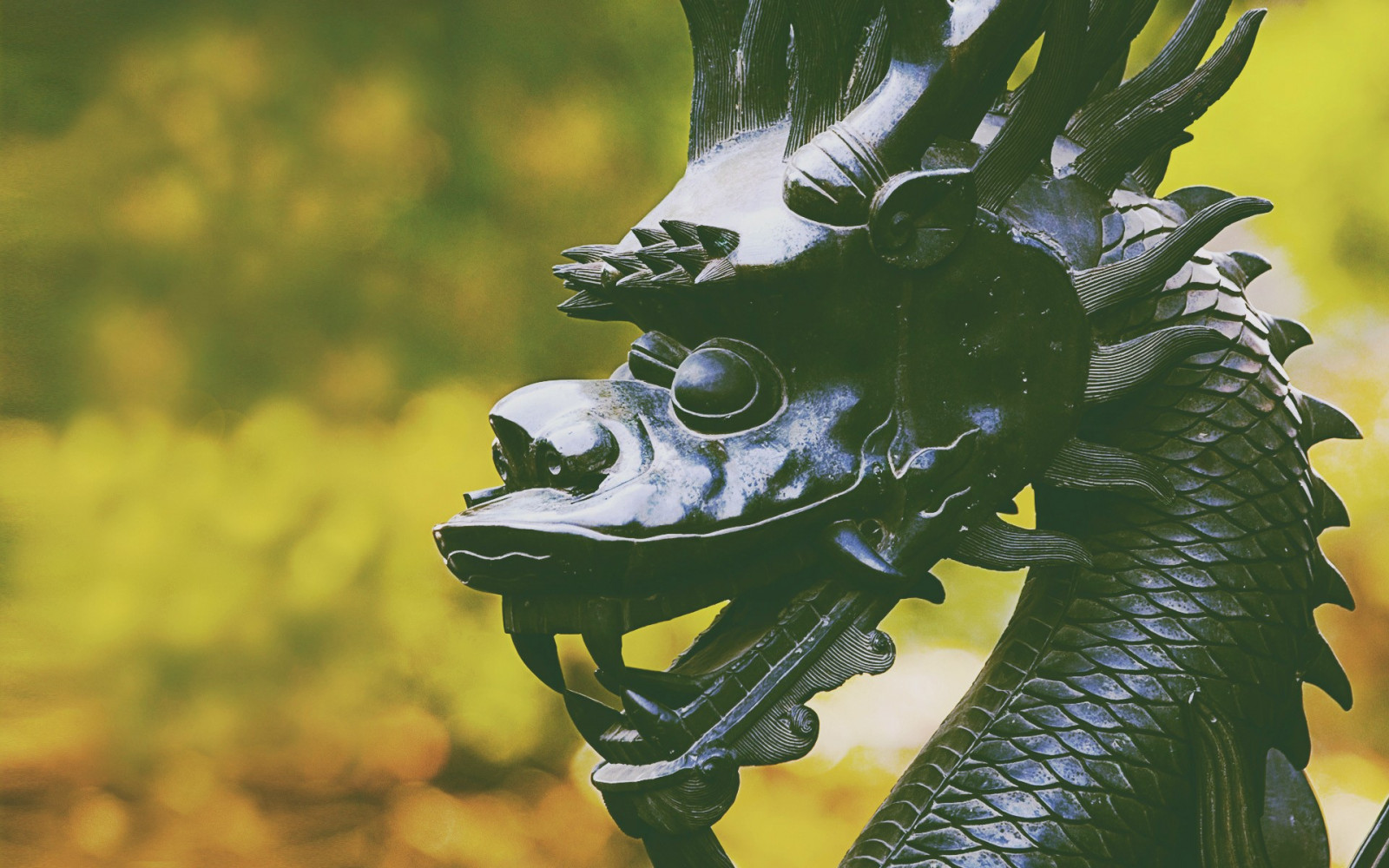 1920x1200 px, Cina, naga