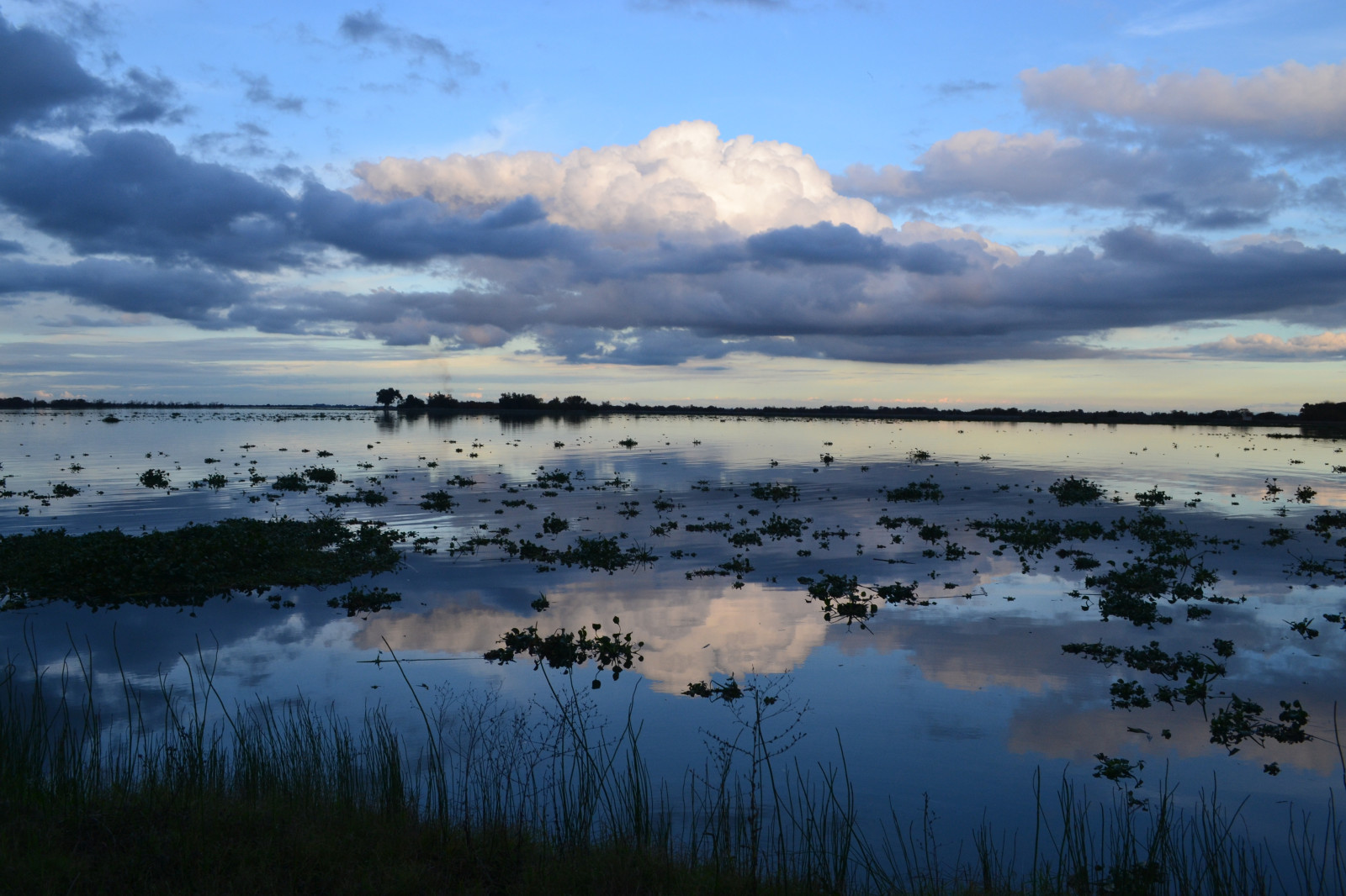Sonnenlicht, Landschaft, Sonnenuntergang, Meer, See, Wasser, Ufer, Betrachtung, Gras, Himmel, Wolken, Sonnenaufgang, ruhig, Abend, Morgen, Küste, Fluss, Horizont, Atmosphäre, Dämmerung, Schilf, Bank, Sumpf, Feuchtgebiet, Delta, Wolke, Baum, Dämmerung, Ozean, Dezember, Tide, Reservoir, Sumpf, See, Meteorologisches Phänomen, Moor, Mudflat, Ecoregion, Mündung, Überschwemmung, Salzsumpf, Fen, Sacramentoriver, Wasservorräte, tidal marsh