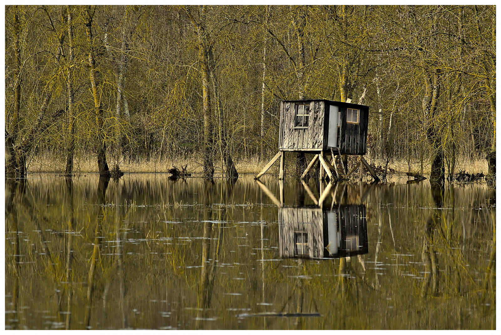 acqua, riflessione, legna, Nikon, Marte, 2015, palude, zone umide, albero, D5100, bayou, Maine e Loira, Rando, inondation, Angers, Cheffes, cabane