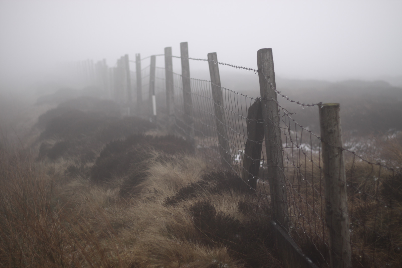 les, kopec, nebe, Anglie, ráno, mlha, mokrý, plot, Spojené království, opar, hřbet, mrak, strom, mlha, hora, Trojzubec, gb, Británie, Saddleworth, 50d, niftyfifty, canon50d, sooc, rašeliniště, andrewlee, vlhký, ef50mmf18, saddleworthmoor, Harry1967, Niftyfiftyfriday, Hnff