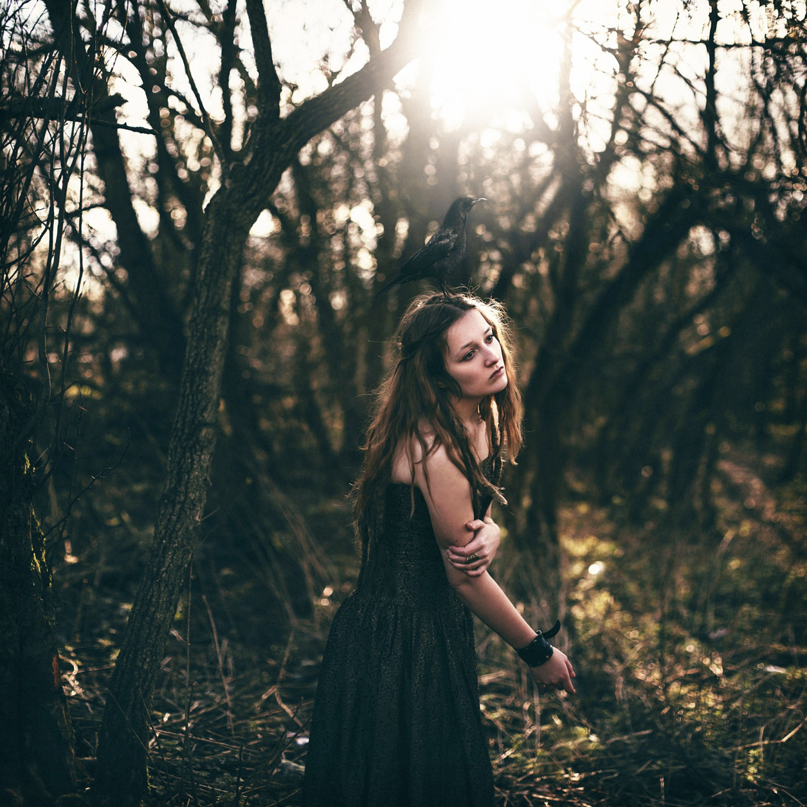 slunečnímu záření, stromy, les, ženy venku, ženy, model, portrét, Příroda, fotografování, šaty, móda, jaro, strom, podzim, dívka, krása, sezóna, fotografie, tma, zálesí, místo výskytu, portrétní fotografie, focení