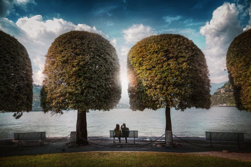 bancă, copaci, parc, în aer liber, lumina soarelui bancă, copaci, parc, în aer liber, lumina soarelui