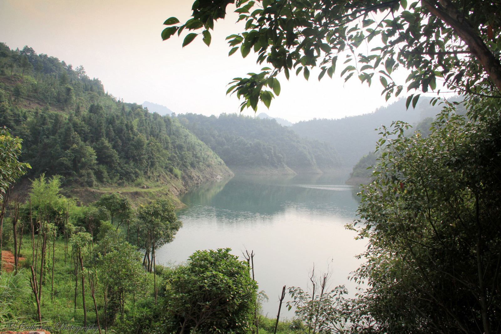 stromy, krajina, les, hory, Čína, kopec, jezero, voda, Příroda, odraz, tráva, nebe, ráno, mlha, řeka, skály, národní park, džungle, banka, mount scenérie, deštný prales, přehrada, přírodní rezervace, strom, cestovat, list, hora, waterscape, odrazy, vegetace, nádrž, vysočina, jezero, traviny, biome, stanice hill, vodní zdroje, Zhangjiajie, valdivian temperate rain forest