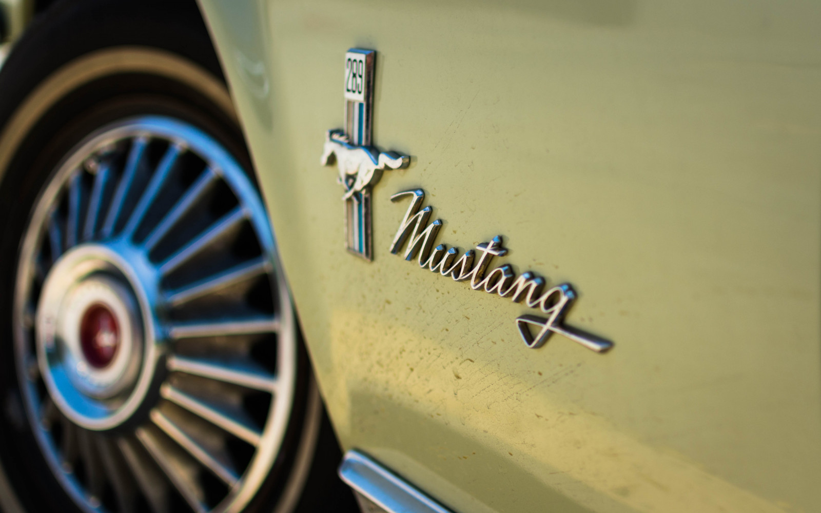 อัตโนมัติ, ม้า, สหรัฐอเมริกา, คลาสสิก, ฟอร์ด, รถ, ล้อ, 35 นาที, เหล้าองุ่น, สัญลักษณ์, โลโก้, Nikon, classiccar, vintagecar, รถยนต์, เท็กซัส, กล้ามเนื้อ, tx, ล้อ, สกปรก, carlogo, การขนส่ง, พ.ศ. 2511, Mustang, nikkor, 18, fordmustang, ฮับ, V8, องุ่น, musclecar, 68, สตางค์, 289, Tarrant, 18g, grapevinetexas, grapevinetx, caremblem, d7100, สกปรก, dirtymustang