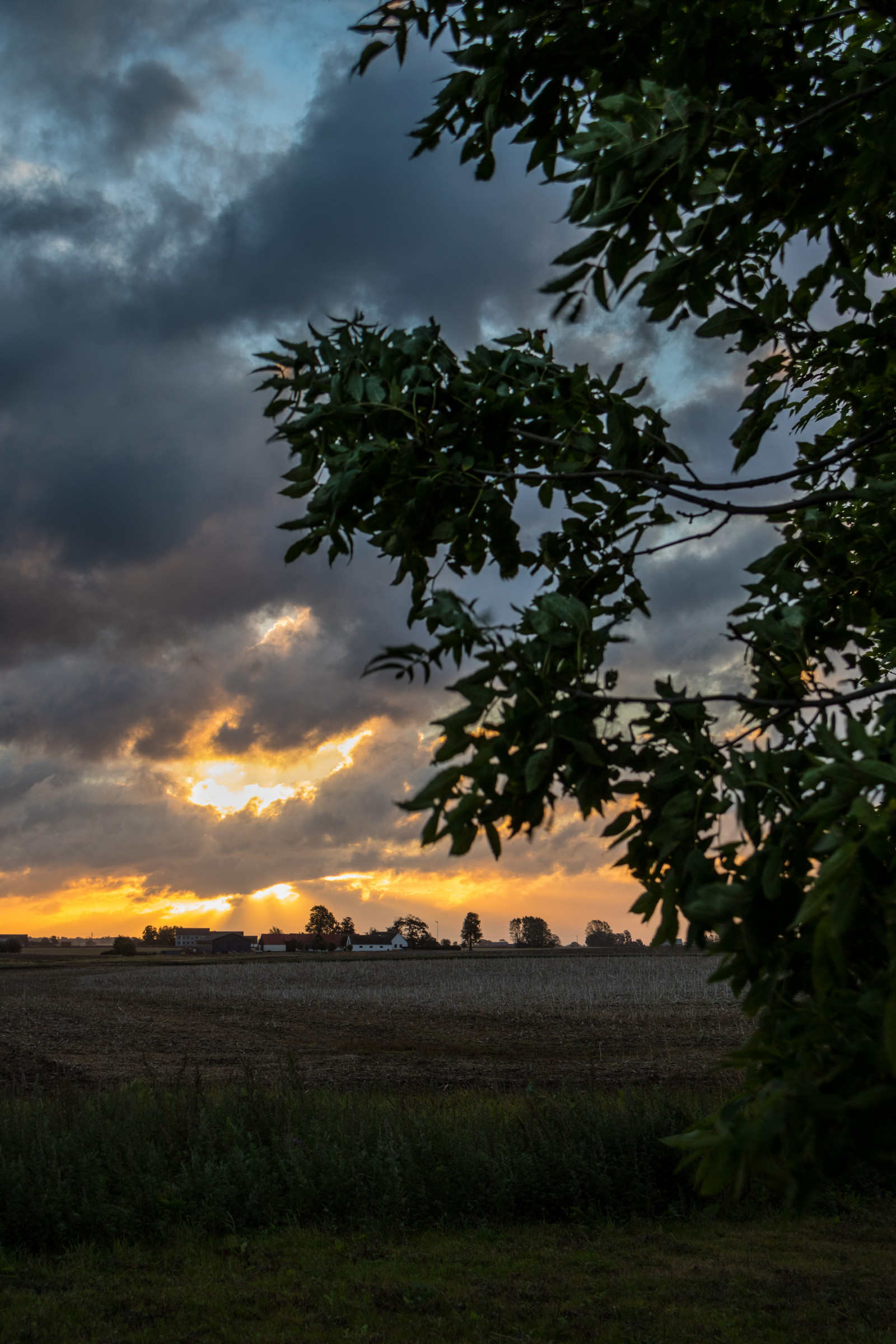 slunečnímu záření, krajina, les, západ slunce, Příroda, odraz, tráva, nebe, svítání, večer, ráno, soumrak, mrak, strom, podzim, list, svítání, rostlina, nebe, venkov, moln, landsbygd, soluppg ng, s dersl tt, landskap, exif modelu canoneos760d, geocountry, Kamera aby kánon, geocity, Model fotoaparátu canoneos760d, geostate, geolocation, EXIF čočka efs18200mmf3556is, EXIF otvor 56, exif aby kánon, EXIF isospeed 100, exif focallength 35mm, venkov, místo výskytu, atmosférický jev, dřevina, arecales, savana