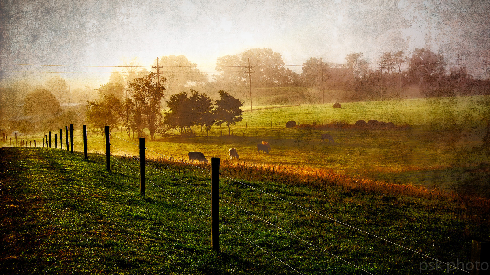 slunečnímu záření, krajina, les, podzim, západ slunce, Příroda, odraz, tráva, pole, svítání, večer, ráno, mlha, textura, 2016, strom, podzim, mlha, list, svítání, sezóna, zemědělství, zálesí, venkov, místo výskytu, přírodní prostředí, atmosférický jev