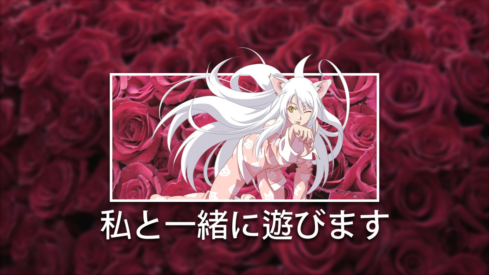 kočka, Neko Hanekawa, Hanekawa Tsubasa, Monogatari Series, milovat, srdce, Červené, tvary, Valentýn, růžový, emoce, květ, okvětní lístek, font