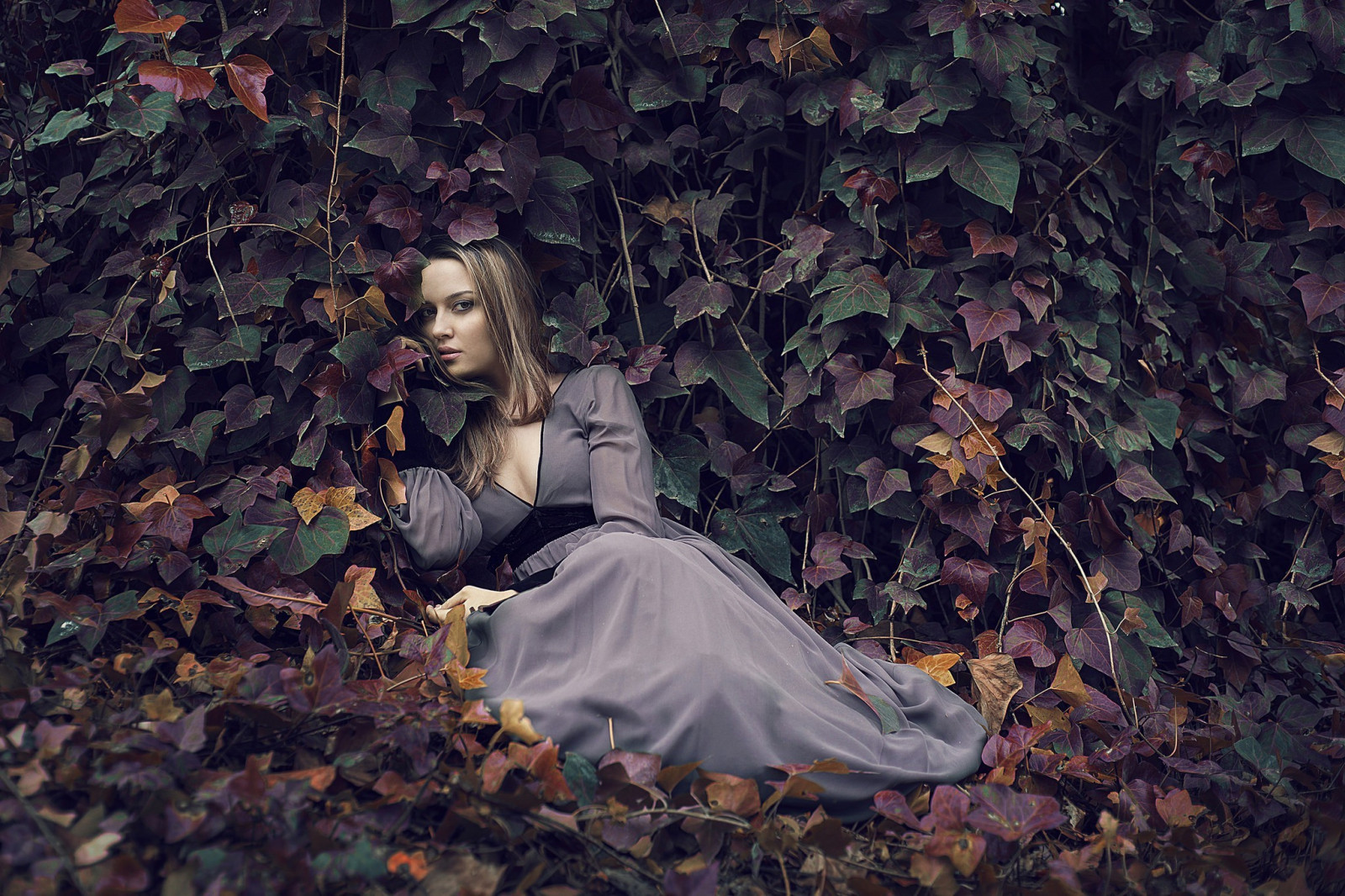 luce del sole, foresta, le foglie, donne all'aperto, donne, modello, vestito, primavera, colore, albero, autunno, foglia, fiore, pianta, stagione, oscurità, 2048x1365 px