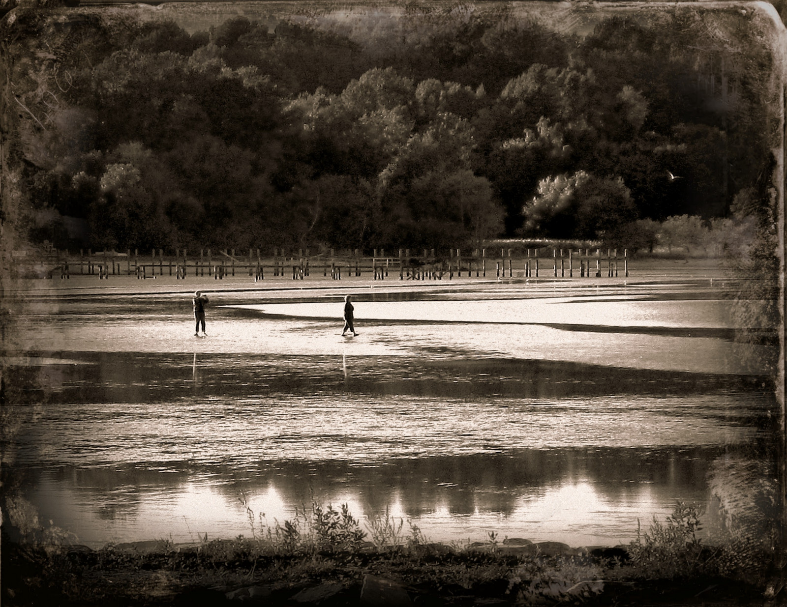 landskab, monokrom, Bugt, sø, vand, natur, afspejling, himmel, fotografering, berolige, aften, flod, atmosfære, Bank, havnefronten, vådområde, Sky, træ, udsigt, plante, bw, havn, hss, md, bayou, sort og hvid, monokrom fotografering, Chesapeake, dcist, flipmode79, Herrington, Rosehaven, herringtononthebay, stock photography