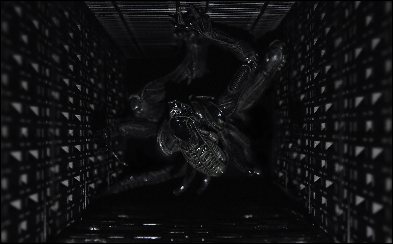 statue, Nikon, udlændinge, samlerobjekt, Kotobukiya, Xenomorph, artfx, lv426, nikond90, alienwarrior