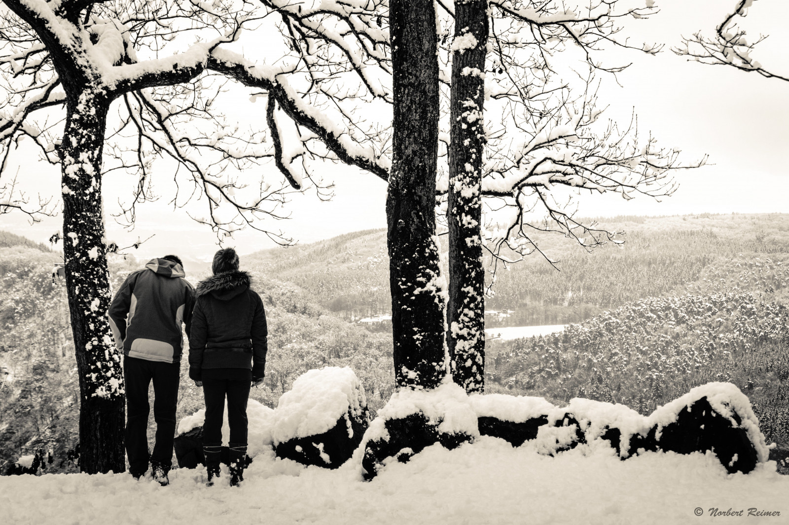 sort, monokrom, natur, sne, vinter, fotografering, afdeling, frost, Fryser, Saarschleife, Saar, træ, plante, pige, sjovt, de, natur, deutschland, fotografi, Schnee, sort og hvid, monokrom fotografering, vedplante, interaktion, Mettlach, Saarland, Norbert, Reimer, Cloef, Orscholz