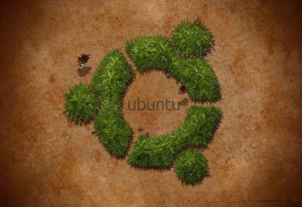 Linux,circle,Ubuntu,grass,green,texture