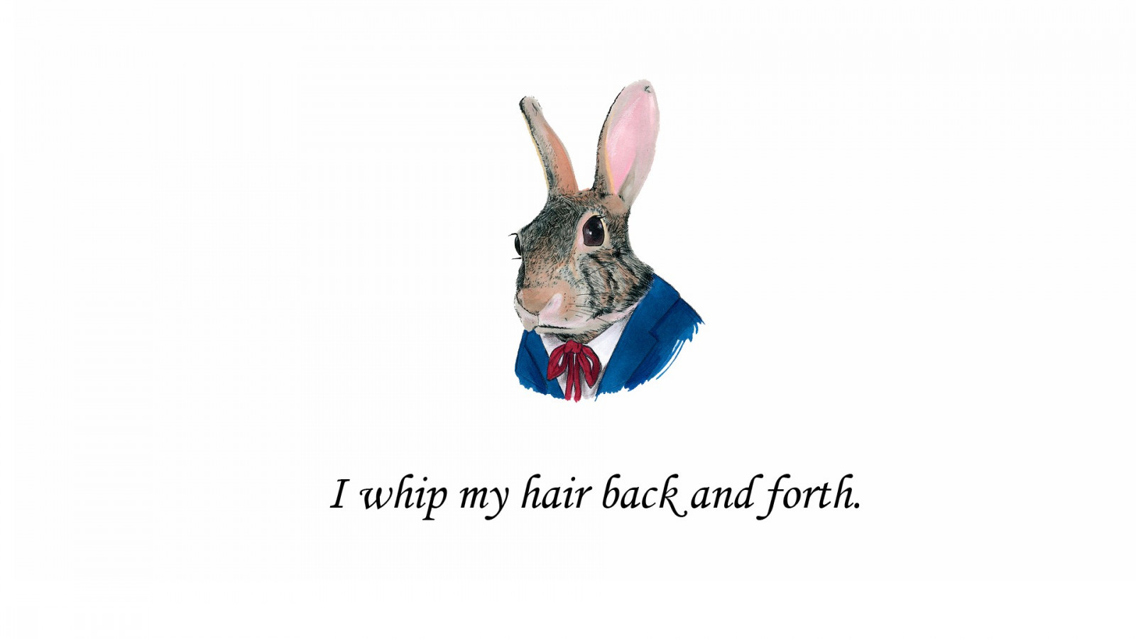 citát, digitální umění, zvěř, jednoduché pozadí, minimalismus, humor, text, značka, králičí