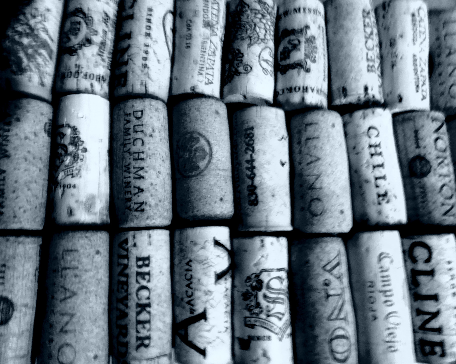 vin, kork, stilllife, gentagelse, sort og hvid, reklame, logoer