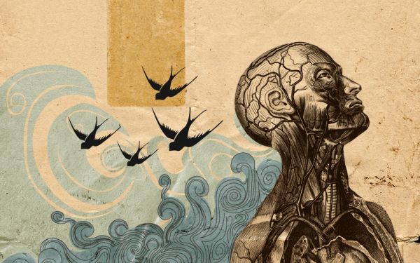 drawing, illustration, artwork, mythology, cartoon, skull