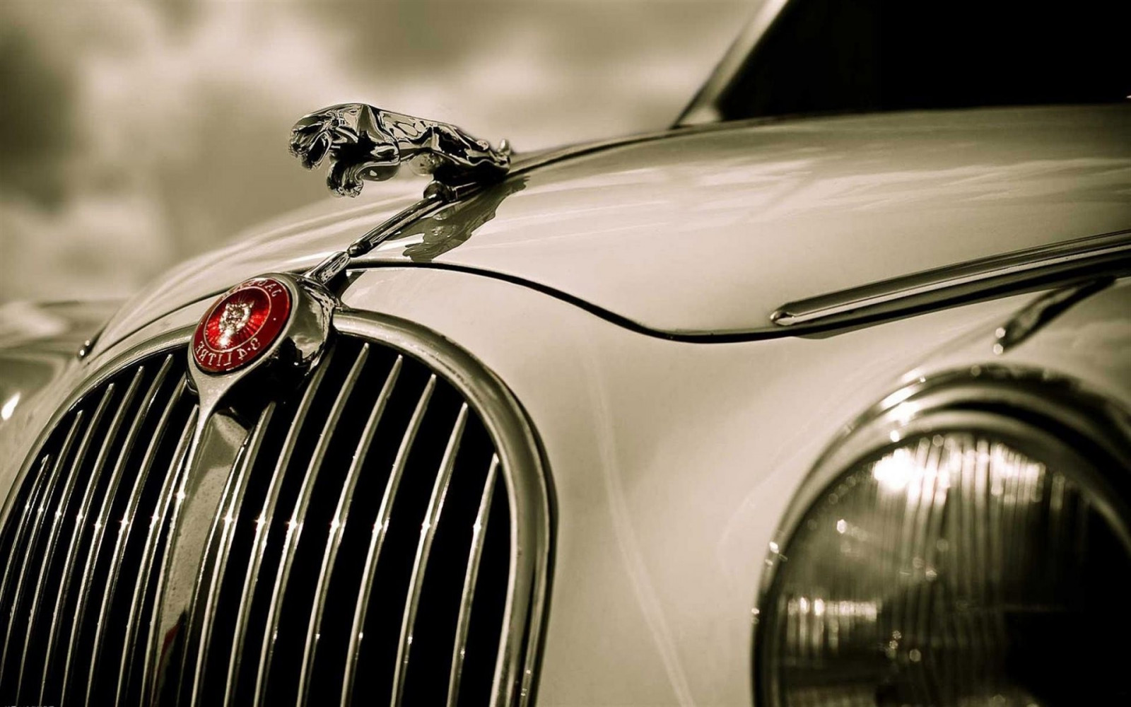 auto, vozidlo, fotografování, vinobraní, veteránem, Jaguár, kolo, klasický, 1920x1200 px, Černý a bílý, automobilového designu, automobilový exteriér, motorové vozidlo, osobní luxusní automobil, mřížka, světlomet, automotive Lighting