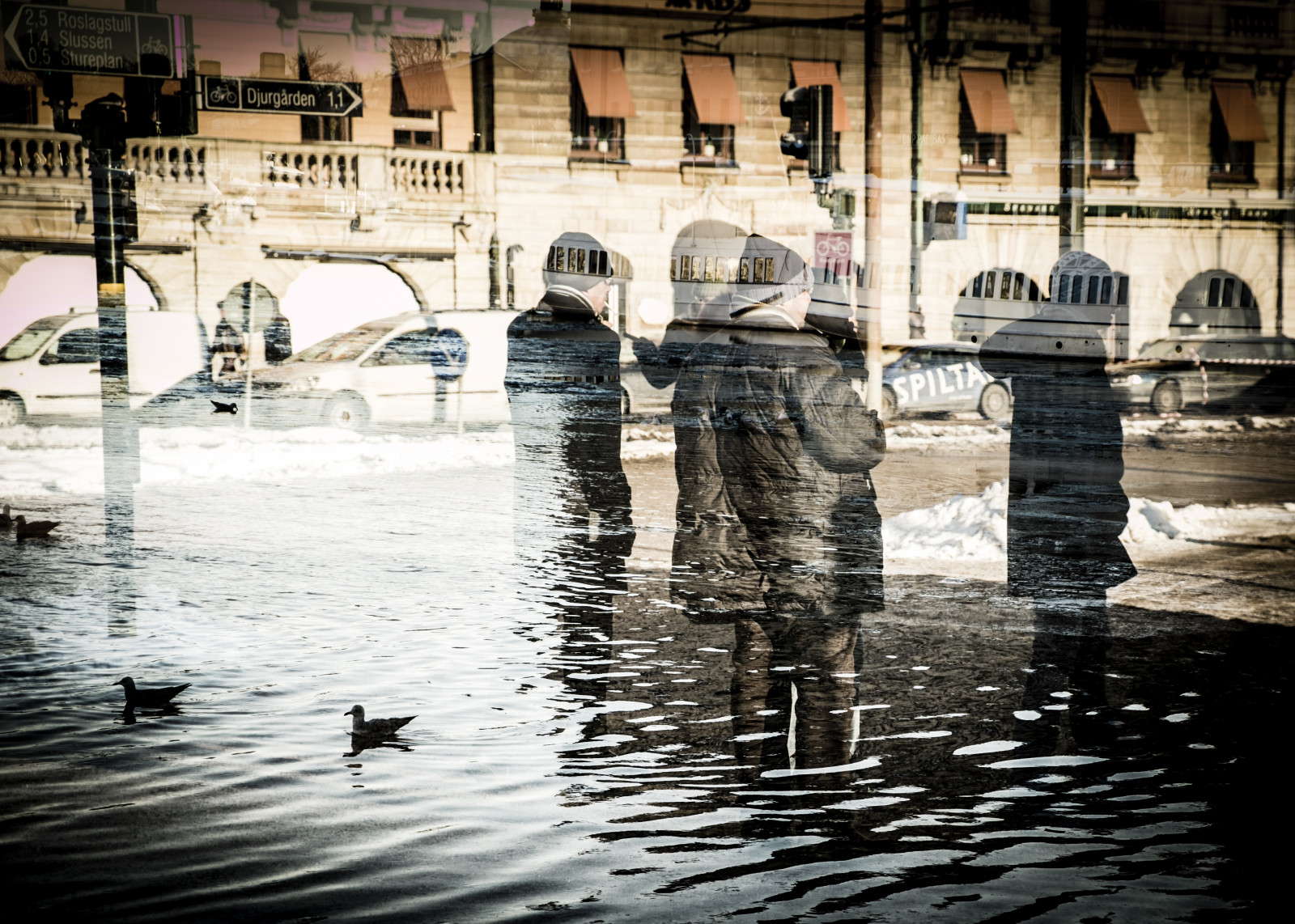 lidé, ptactvo, město, voda, městský, odraz, řeka, doubleexposure, Stockholm, Švédsko, barva, cigareta, streetphotography, XE1, vodní pták, STHLM, stermalm, strandv gen