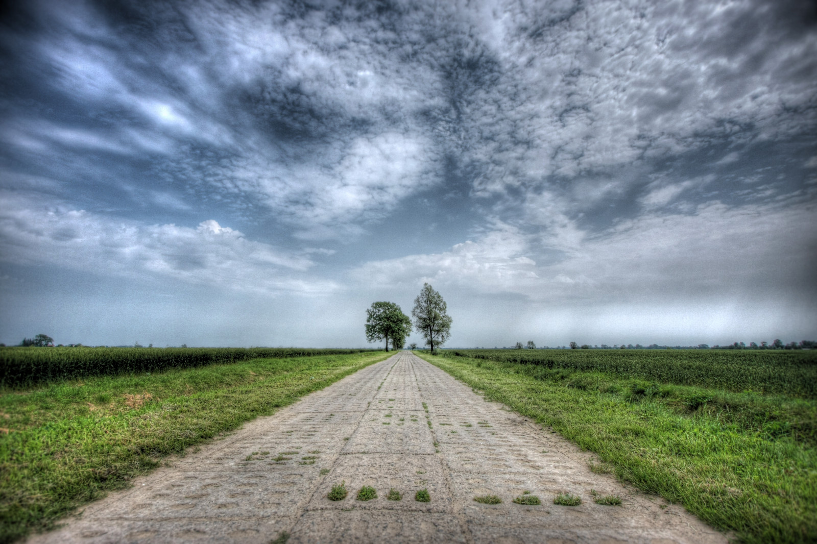slunečnímu záření, krajina, kopec, Příroda, tráva, nebe, pole, silnice, mraky, bouřka, zelená, ráno, Kánon, HDR, vítr, horizont, letní, Polsko, mrak, strom, počasí, 40d, zemědělství, prostý, eos, natura, polska, colorphotoaward, droga, drzewa, lato, 1022, trávník, Przyroda, prérie, půda, venkov, atmosférický jev, EFS, meteorologický jev, niebo, Marcin, Chmury, Gawronski