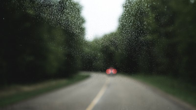 日光, 自然, 草, 道路, 緑, 朝 日光, 自然, 草, 道路, 緑, 朝