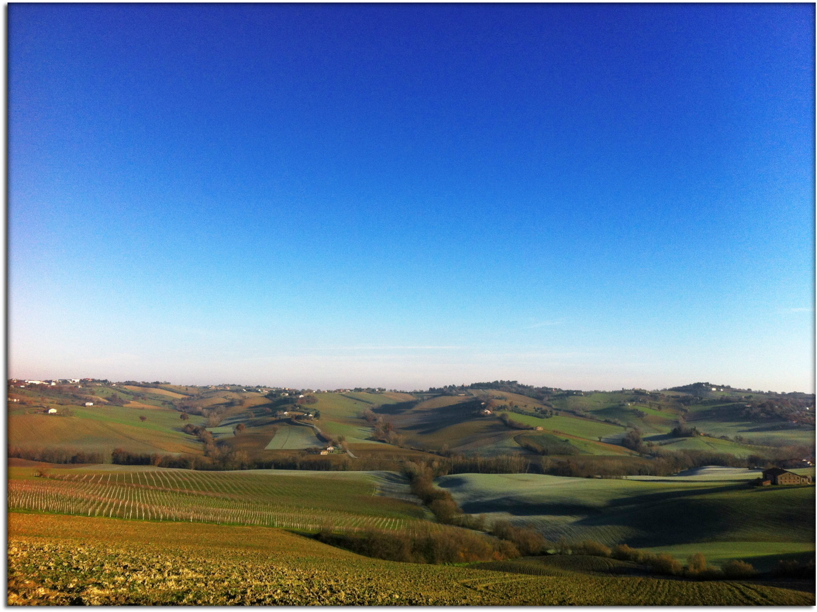 krajina, bílý, Itálie, kopec, Příroda, Červené, nebe, stín, zima, pole, panoráma, zelená, žlutý, kopce, ráno, slunce, horizont, panoráma, Evropa, Přátelé, perspektivní, plošina, step, světlo, země, mrak, strom, barvy, hora, lučina, mygearandme, fotografie, zemědělství, prostý, mygearandmepremium, mygearandmebronze, mygearandmesilver, mygearandmegold, rememberthatmomentlevel1, rememberthatmomentlevel2, rememberthatmomentlevel3, flickrbronzetrophygroup, Jesi, Eugenio, iPhone 4, Staffolo, Coppari, USC, Marche, paesaggimarchigiani, prérie, venkov, ekosystém