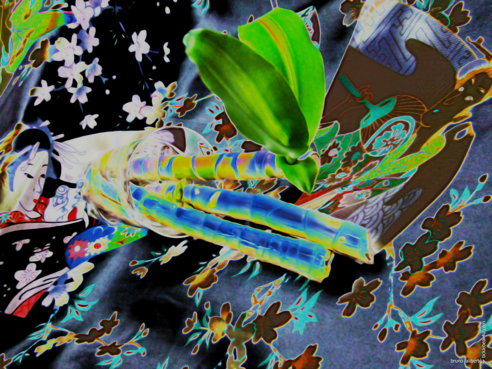 Příroda, Photoshop, Fujifilm, HDR, jaro, 2014, vividimagination, artdigital, shockofthenew, sharingart, awardtree, netartll, kreativepeople, brunolalibert