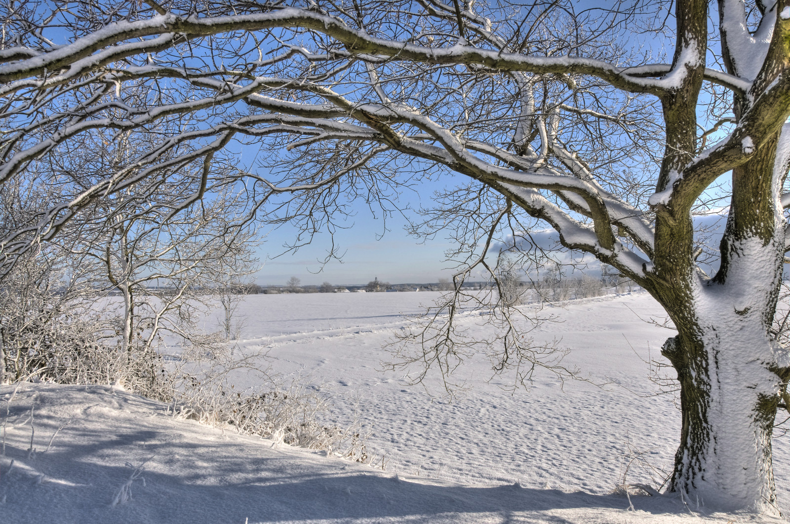 Jahreszeiten, zima, deutschland, th Ringen, Schnee, nebe, Kalt, mráz