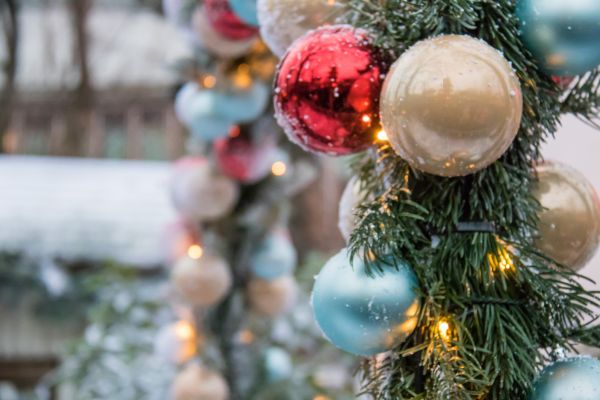branch, Christmas Tree, Christmas, Denmark, xmas, tree