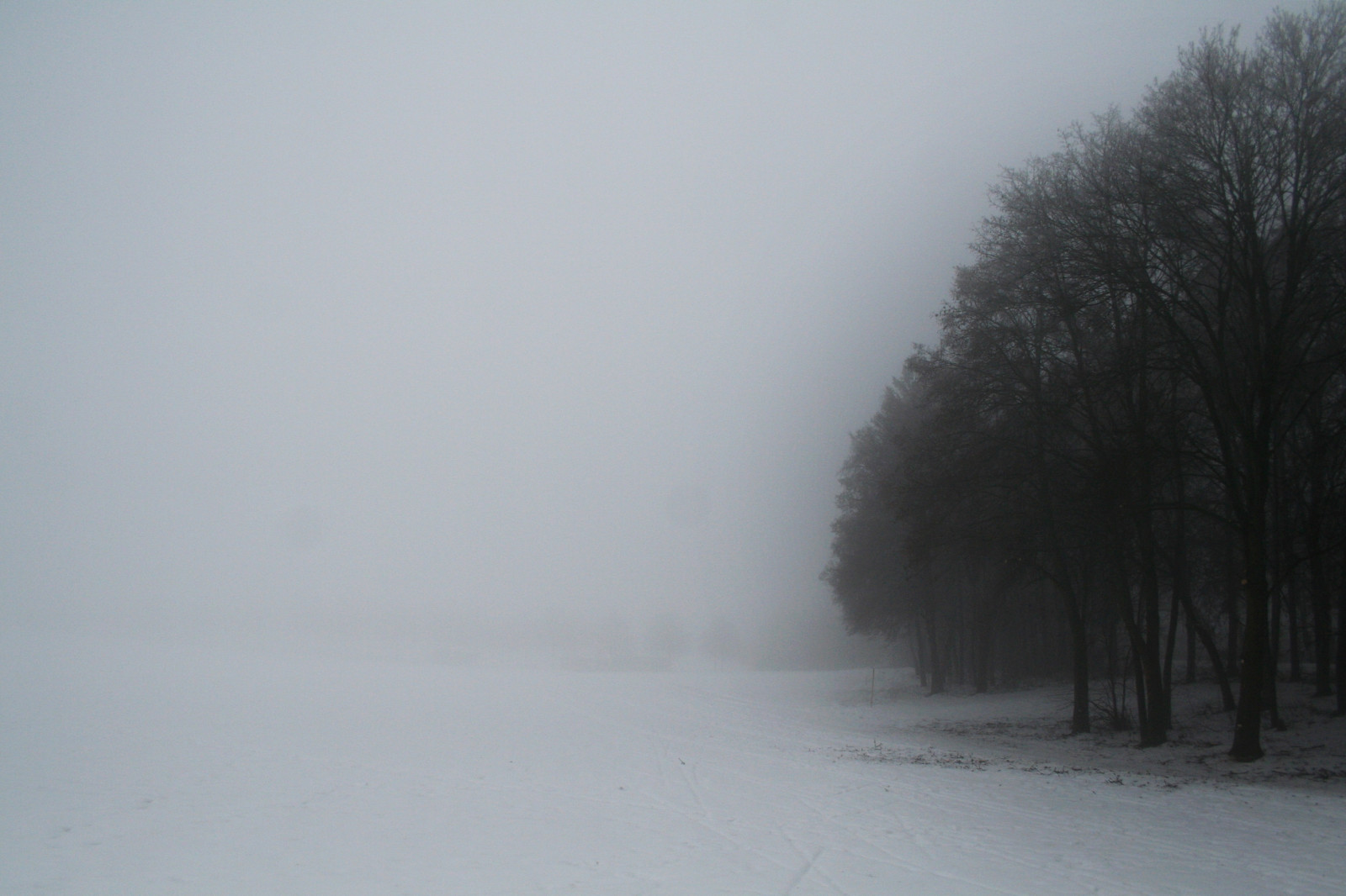 bílý, blanc, Weis, weiss, WIS, Černá, Noir, schwarz, sníh, zima, Schnee, Kalt, Studený, chladný, 2017