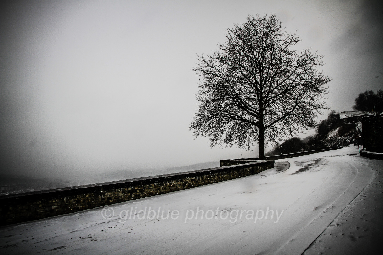 vej, vinter, tåge, sne, træ, væg, Arbol, Belgien, sti, hiver, tåget, neve, neige, Albero, mur, inverno, arbre, Brouillard, brume, namur, brystværn, Wallonie, citadelle, aplusphotos, glidblue, mygearandme, bluedel