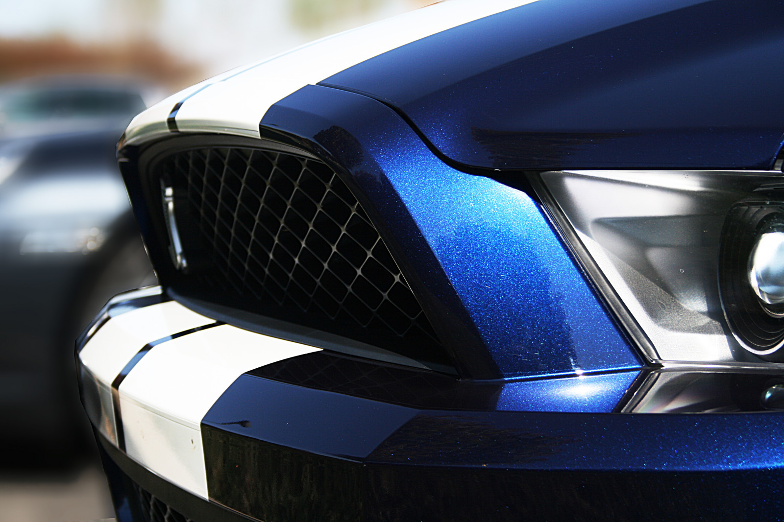 auto, vozidlo, modrý, kapuce, nos, sportovní auto, Brod, pruhy, závodění, Shelby, Konec, výkon auta, kobra, GT500, Mustang, světlo, kolo, 750, přední, kovový, počítač tapeta, automobilového designu, automobilový exteriér, koncept vozu, luxusní vůz, nárazník, motorové vozidlo, osobní luxusní automobil, výkonné auto, mřížka, světlomet, auto part, v plné velikosti vůz, kr, petrolejově modrá, SuperSnake, automotive Lighting