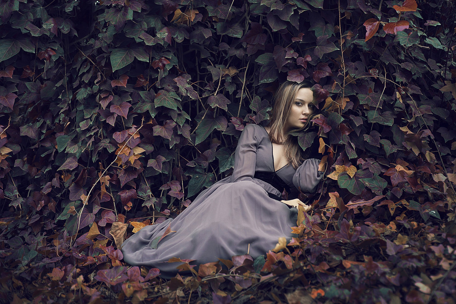 luce del sole, foresta, le foglie, donne all'aperto, donne, modello, fotografia, vestito, moda, primavera, colore, albero, autunno, foglia, fiore, pianta, bellezza, stagione, fotografia