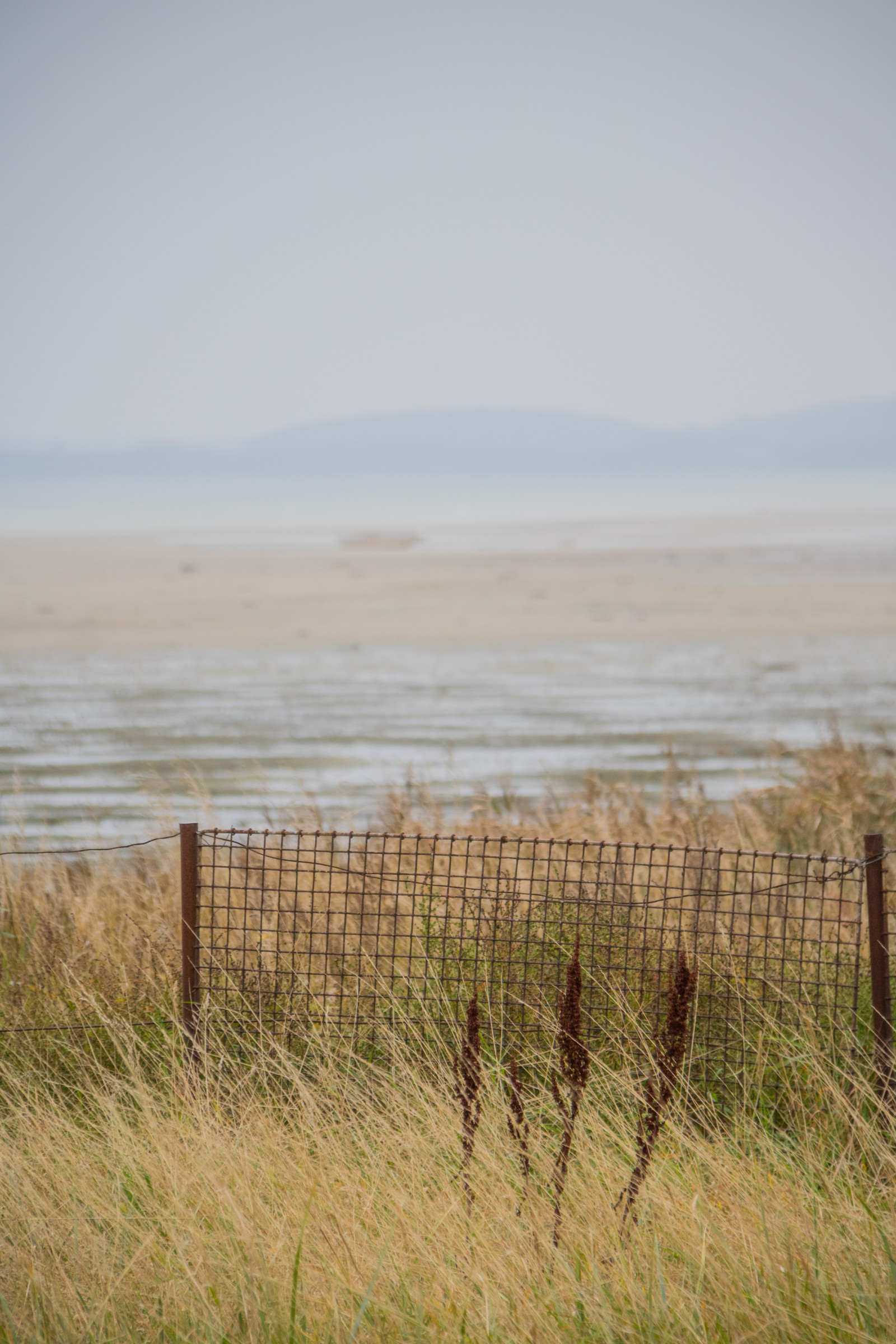 krajina, tráva, pole, dřevo, pobřeží, horizont, Dánsko, step, mokřadní, lučina, Danmark, pastvina, kust, exif modelu canoneos760d, geocountry, Kamera aby kánon, geocity, Model fotoaparátu canoneos760d, geostate, geolocation, EXIF čočka efs18200mmf3556is, EXIF otvor 56, exif aby kánon, EXIF isospeed 500, exif focallength 170mm, slapy, tidewater, tidvatten, dalbyhuse, zemědělství, prostý, prérie, půda, bažina, místo výskytu, přírodní prostředí, atmosférický jev, ekosystém, tráva rodina, savana