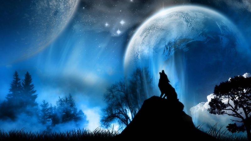 sunlight, fantasy art, planet, space, animals, night sunlight, fantasy art, planet, space, animals, night
