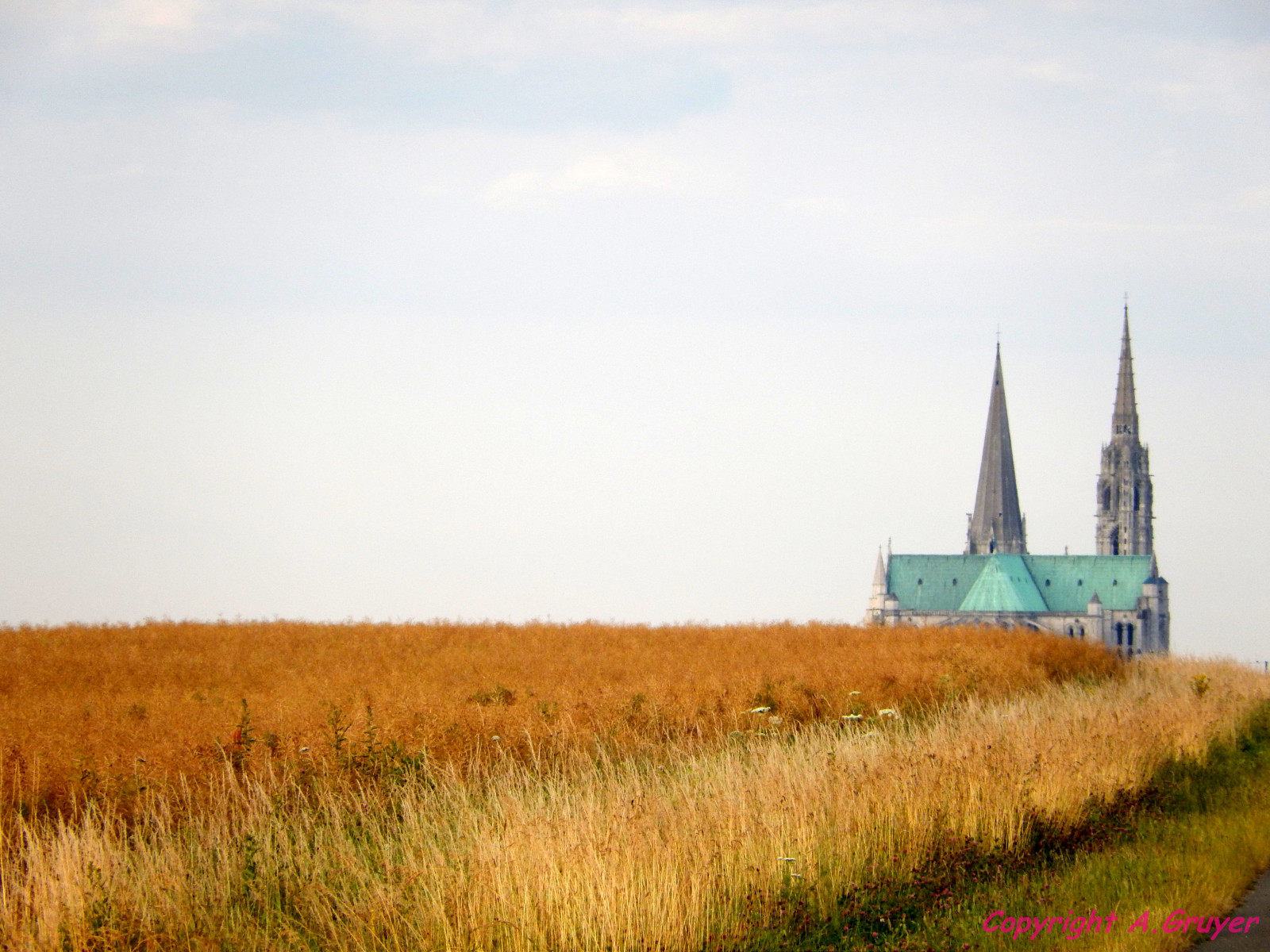paesaggio, collina, cielo, campo, mattina, orizzonte, estate, Nikon, Francia, Chiesa, prospettiva, paysage, rurale, Chartres, 2014, prateria, agricoltura, prato, Campione, ciel, Patrimoine, t, nuage, pianura, Tourismo, Campagne, prateria, raccolto, area rurale, famiglia di erba, cathedrale, ruralit, draledechartres cath