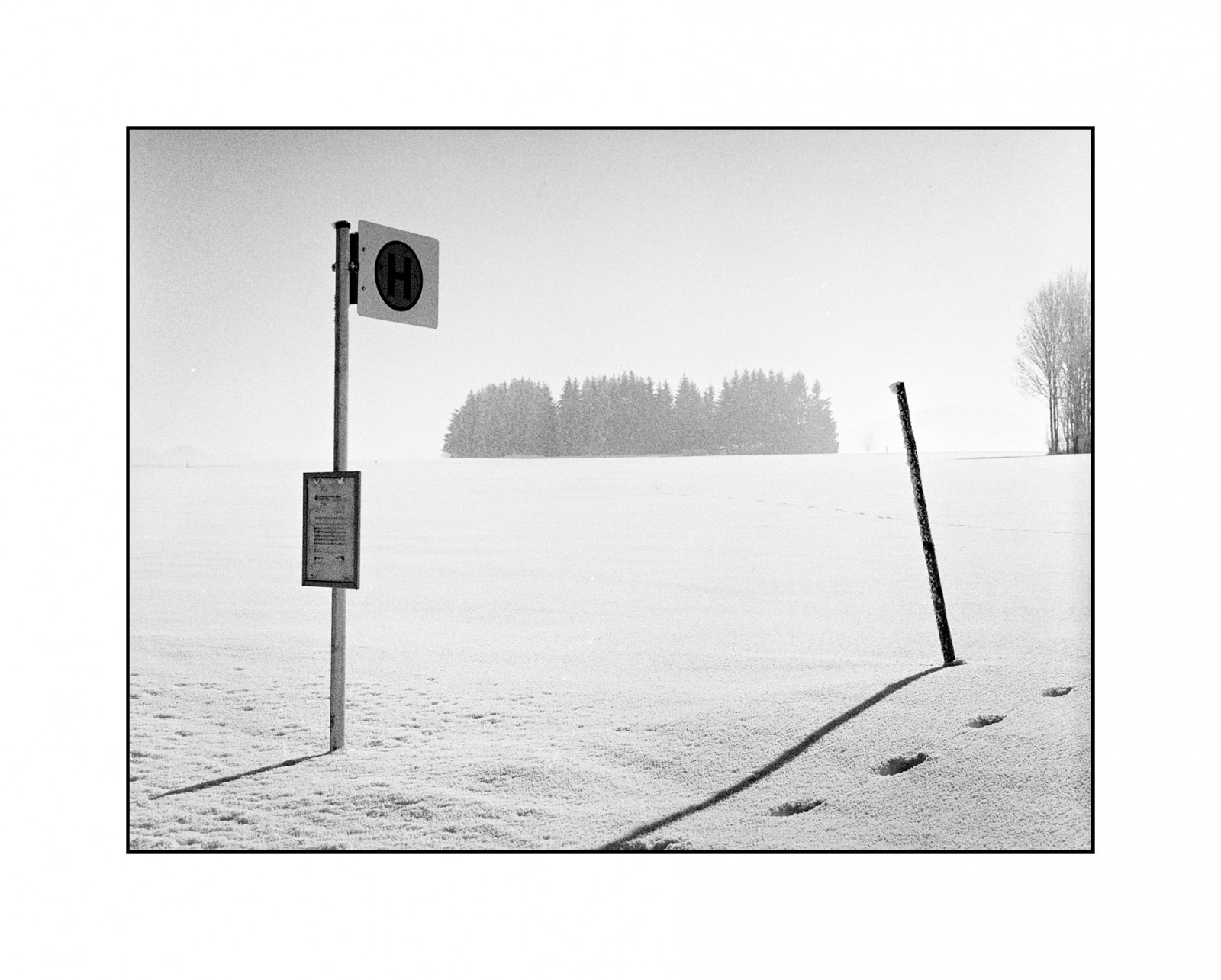 OESTERREICH, Østrig, Salzburg, landskab, Landschaft, vinter, sne, Schnee, analog, film, Kodak, trix, rodinal, BRONICA, zenzanon, etrsi, sort og hvid, bw, schwarzweis, SW, Nikon, COOLSCAN