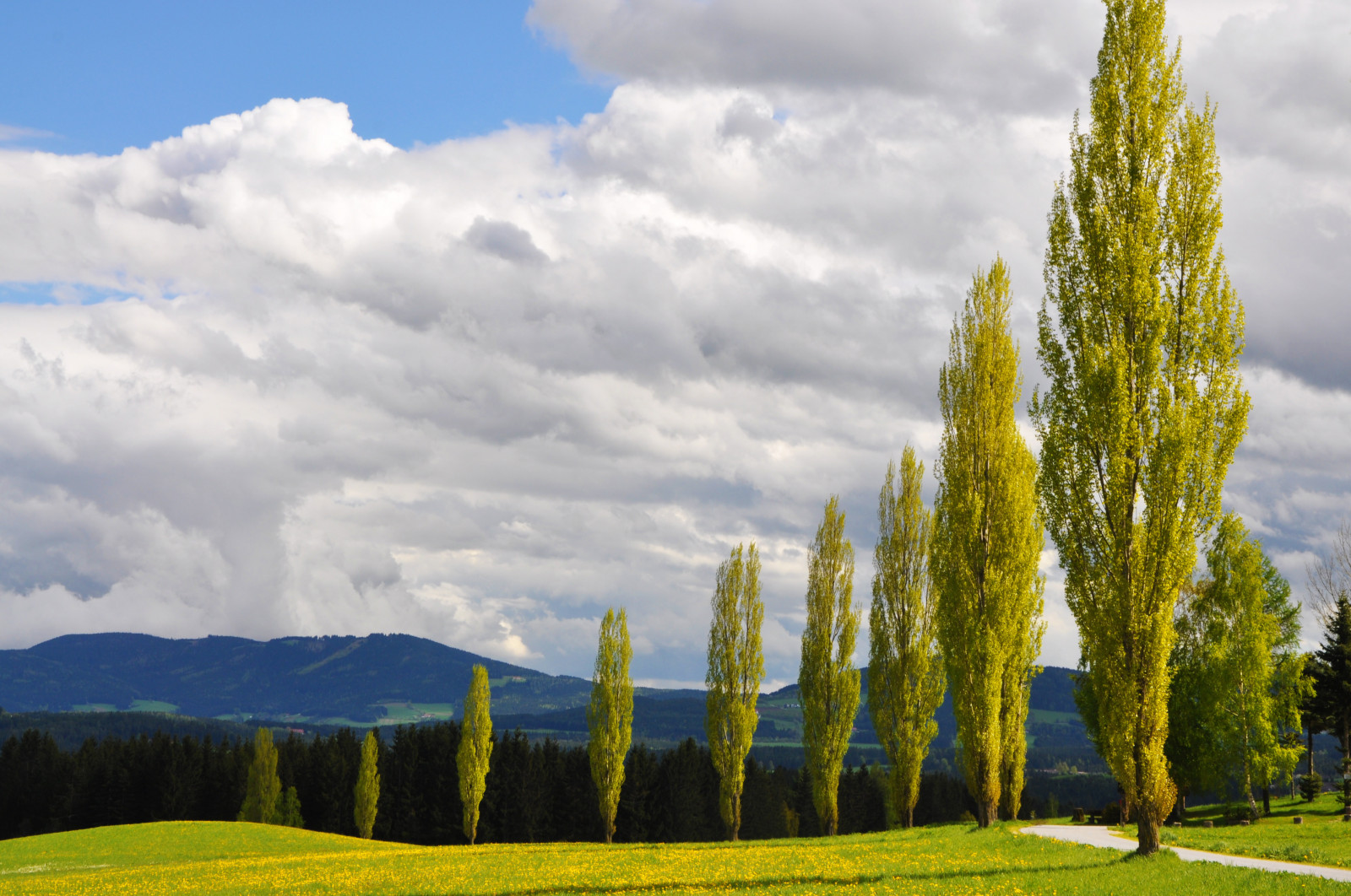 den, zakalený, nebe, Berge, weg, blauer, Fruhling, allee, l wenzahn, wolkenstimmung, flickrbronzetrophygroup, flickrsfinestimages1