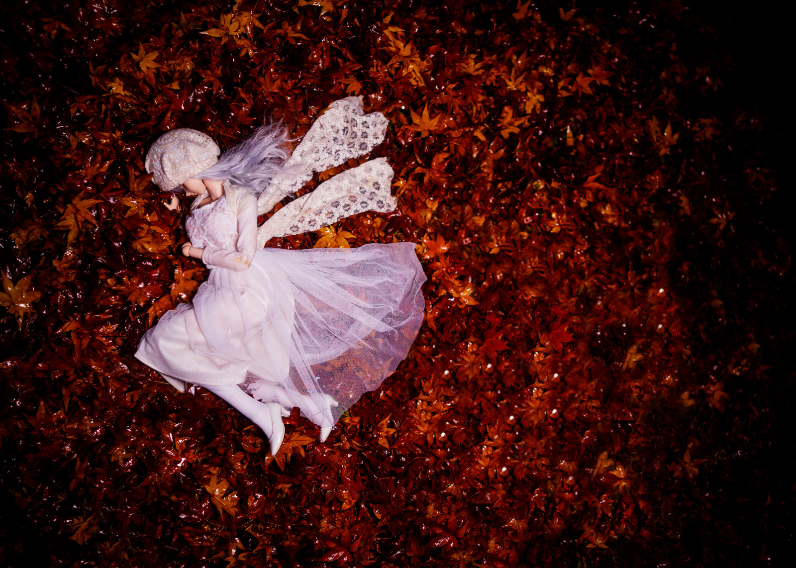 notte, Sony, RX1R, autunno, pianta, ragazza, oscurità, dollfiedream, dd, sfondo del computer, dscrx1r, stock photography