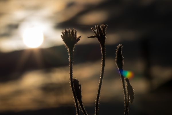 sunlight,water,nature,reflection,sunset,night