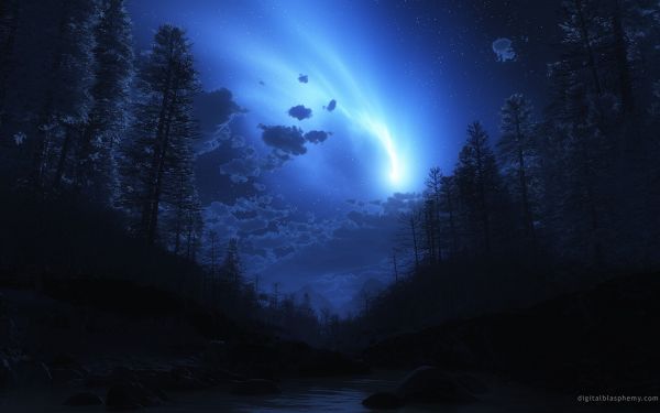 1920x1200 px,Digital Blasphemy,night,stars,trees