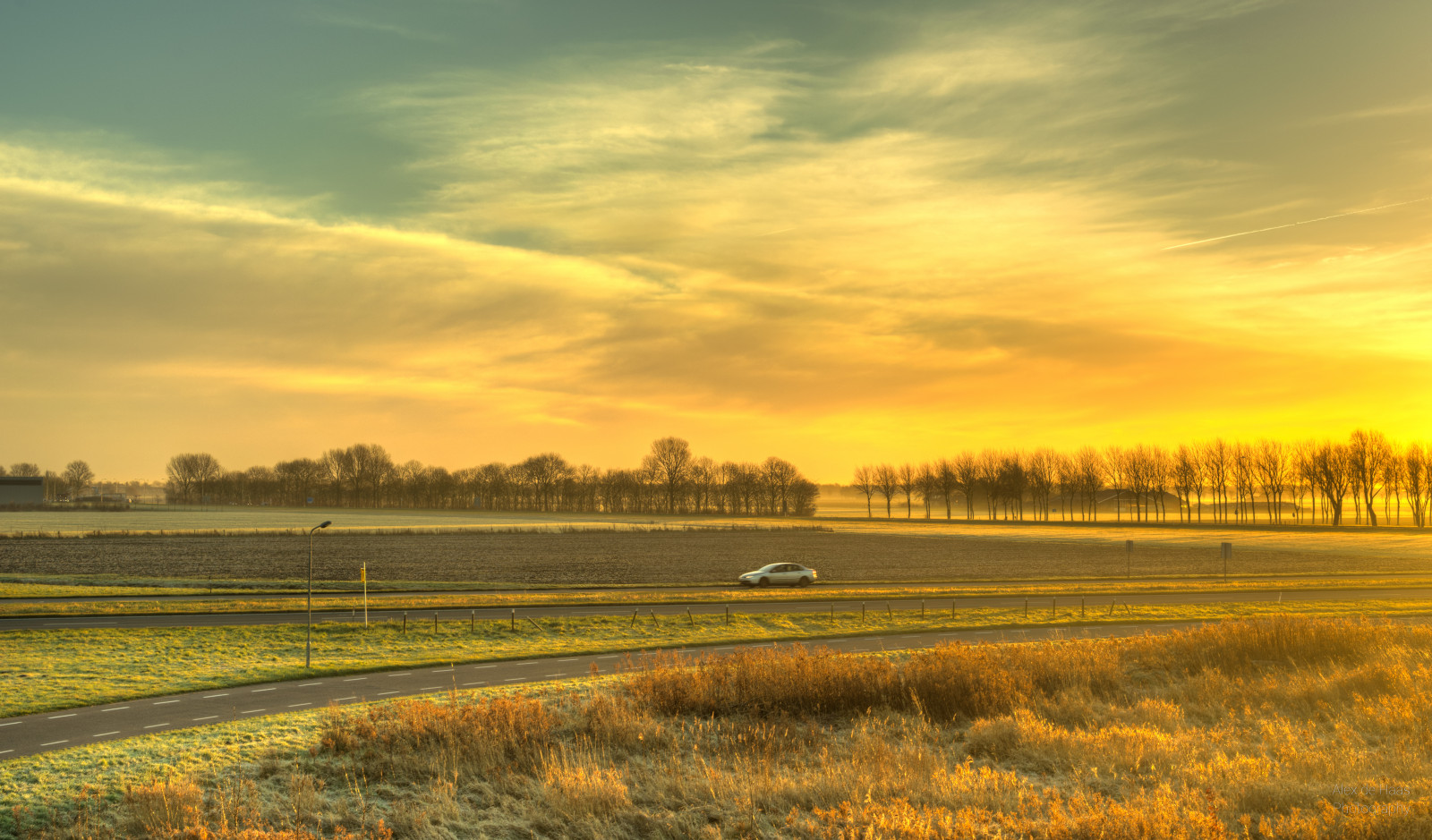 50mm, d5, HDR, Holandsko, hollandseluchten, n245, nederland, Nizozemí, NIKKOR, nikkor50mm, Nikon, nikond5, noordholland, schagerweg, Nizozemí, westfriesland, baretrees, Krásná, krása, Bomen, bomenrij, výložník, boomgrens, Buiten, buitenshuis, daglicht, denní světlo, kapesní, highdynamicrange, kalebomen, krajina, Landschap, licht, světlo, mooi, ráno, ochtend, venkovní, venku, polder, schoonheid, nebe, nebe, svítání, sunriselight, strom, treeline, stromy, teplý, zima, zonsopgang