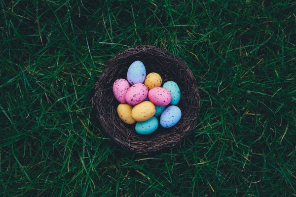 eggs, grass, baskets, nests, easter eggs, Easter