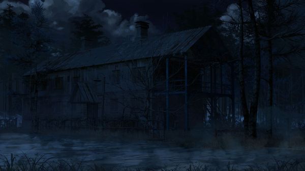 night,winter,moonlight,atmosphere,ArseniXC,midnight