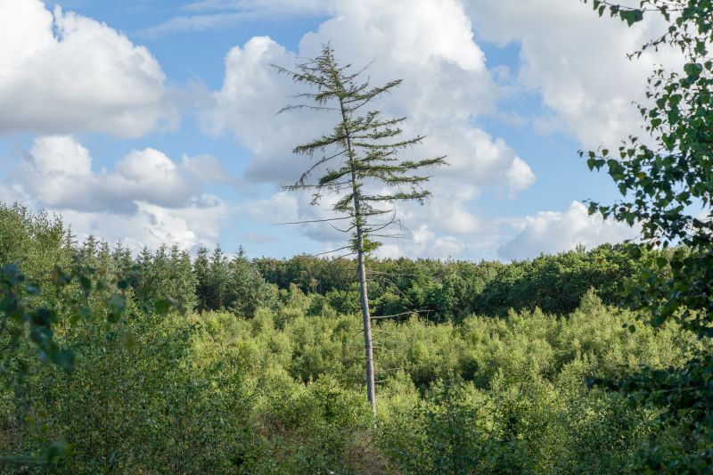 Aabybro,northdenmarkregion,Danmark,dk