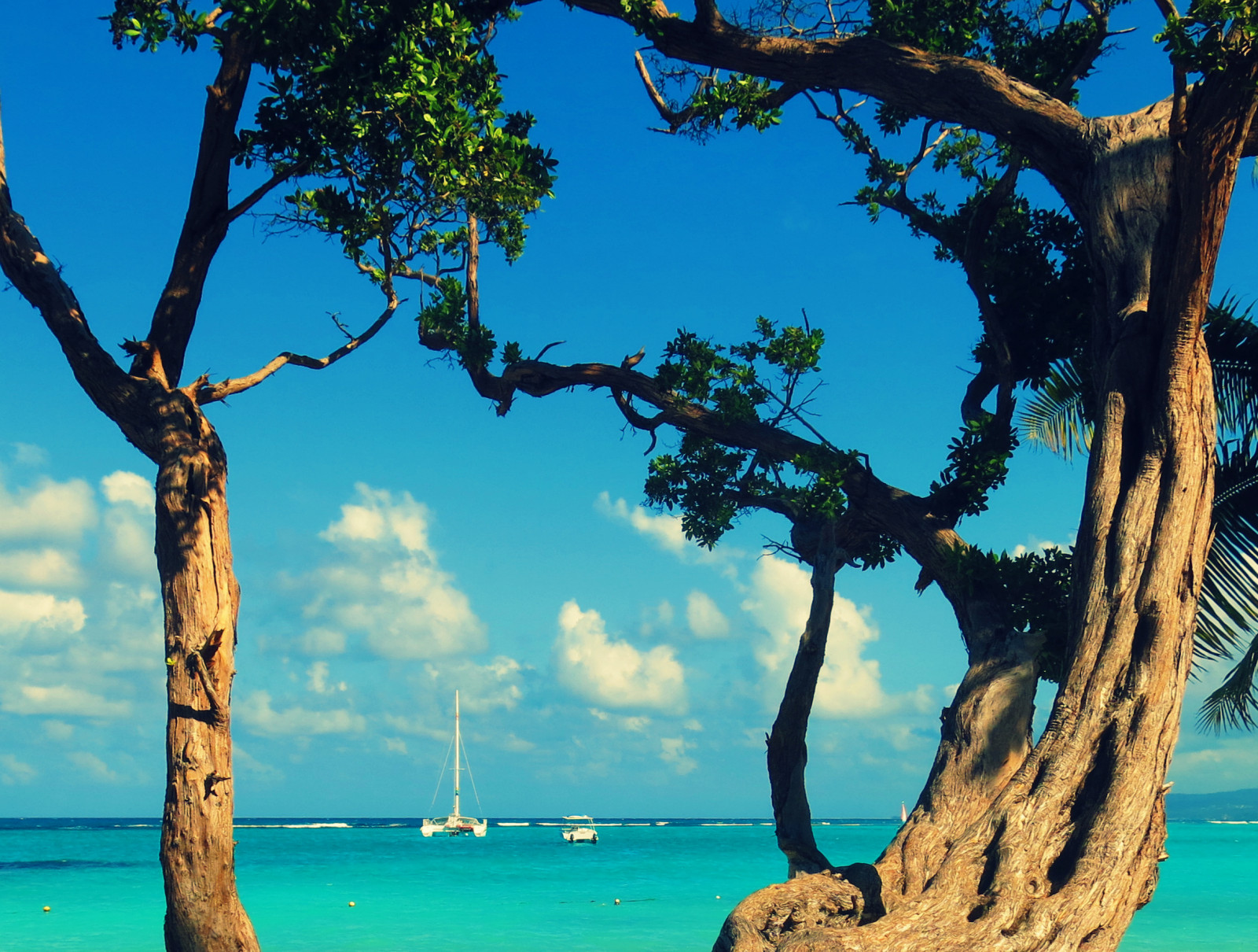 oceán, moře, slunce, mer, strom, pláž, voda, mraky, Kánon, Soleil, loď, eau, tyrkysový, větve, kořeny, ciel, Jamaica, mraky, bateau, arbre, plage, plachetnice, G15, Jama que