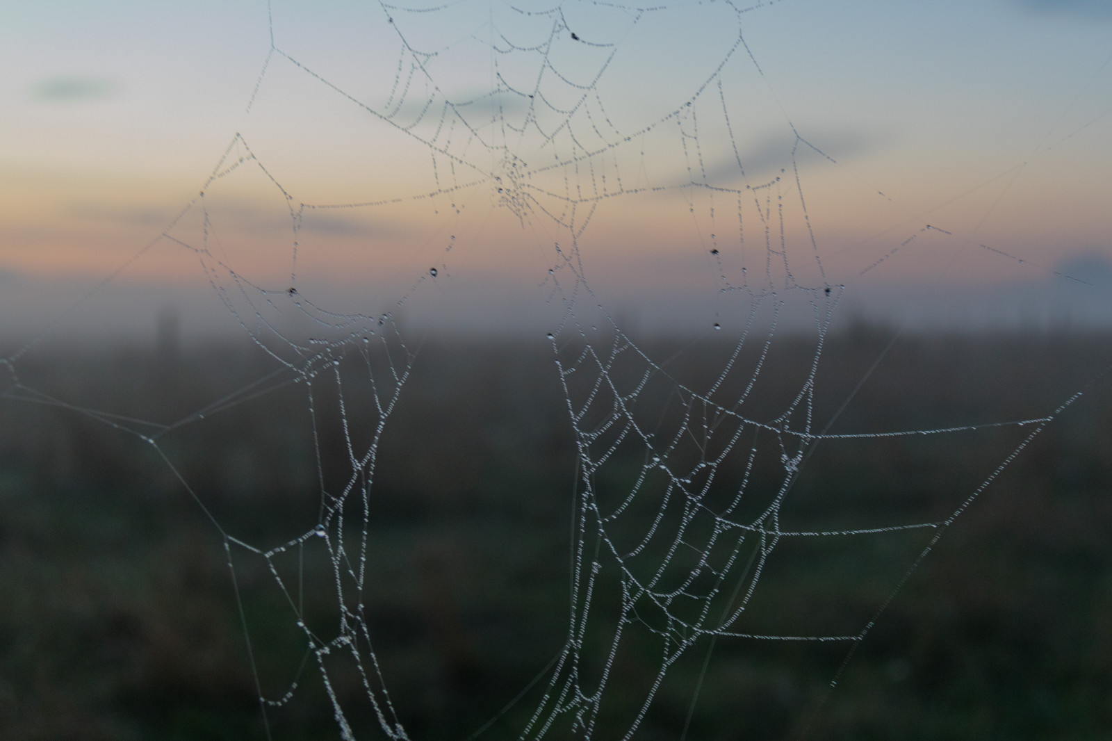 krajina, voda, Příroda, nebe, svítání, ráno, mlha, venkovský, mrak, mlha, bluehour, web, nebe, dimma, venkov, moln, spindeln t, landsbygd, materiál, soluppg ng, čára, s dersl tt, landskap, Norra by, exif modelu canoneos760d, geocountry, Kamera aby kánon, geocity, Model fotoaparátu canoneos760d, geostate, geolocation, EXIF čočka efs18200mmf3556is, exif aby kánon, EXIF otvor 40, exif focallength 32mm, bl timmen, n t, exif isospeed 640, morgon, outdoor struktura, bezobratlý, vlhkost, pavoučí síť