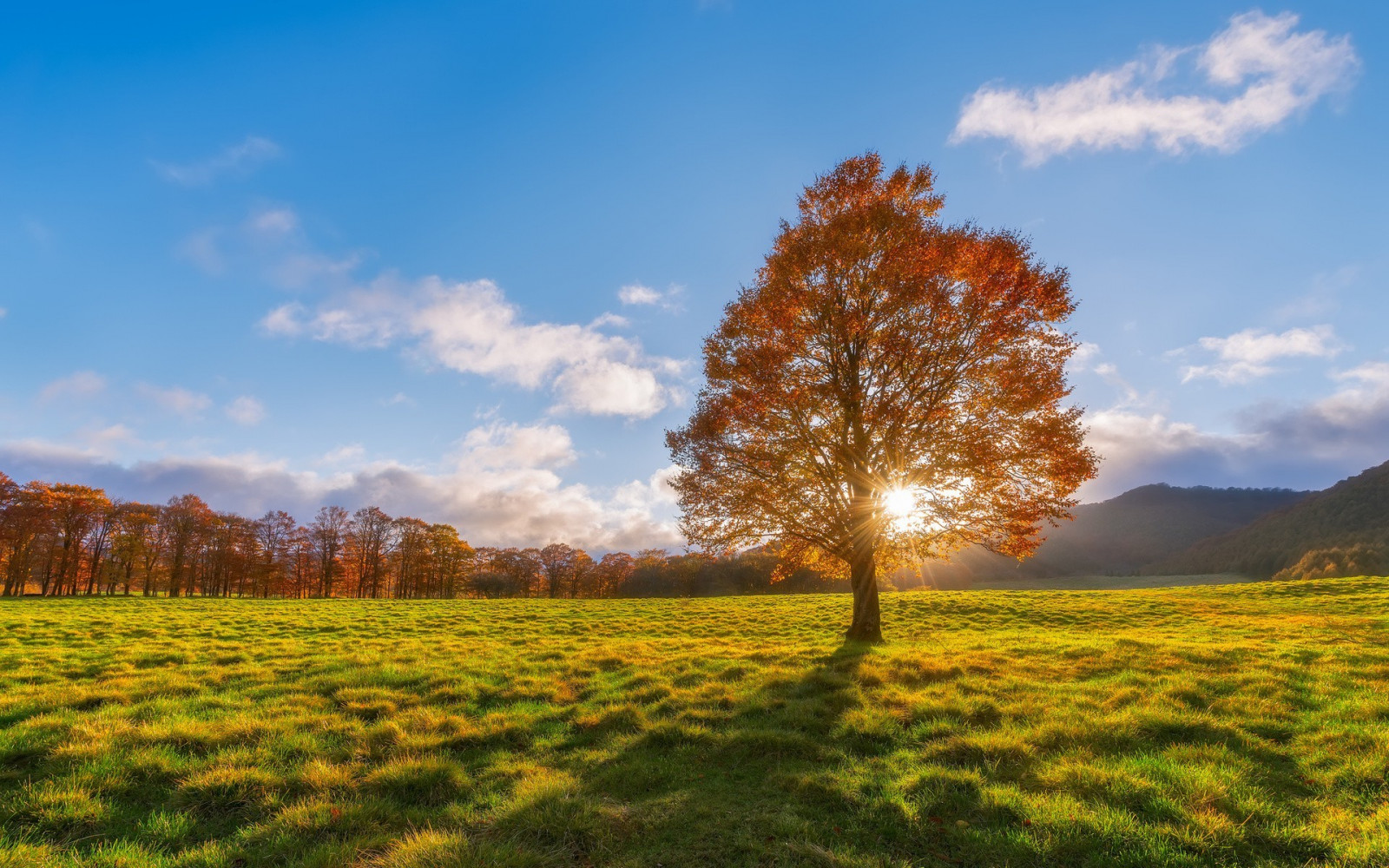 Sonnenlicht, Landschaft, Sonnenuntergang, Hügel, Natur, Gras, Himmel, Feld, Sonnenaufgang, Morgen, Horizont, Wolke, Baum, Herbst, Blatt, Blume, Dämmerung, Wiese, Pflanze, Jahreszeit, Weide, Landwirtschaft, Wiese, Ebene, 1920x1200 px, Prärie, ländliches Gebiet, Lebensraum, natürlichen Umgebung, Holzige Pflanze, Ökosystem, Grasfamilie